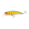 Yellow Perch