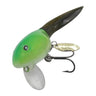 Green Mussel