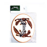 Gecko White