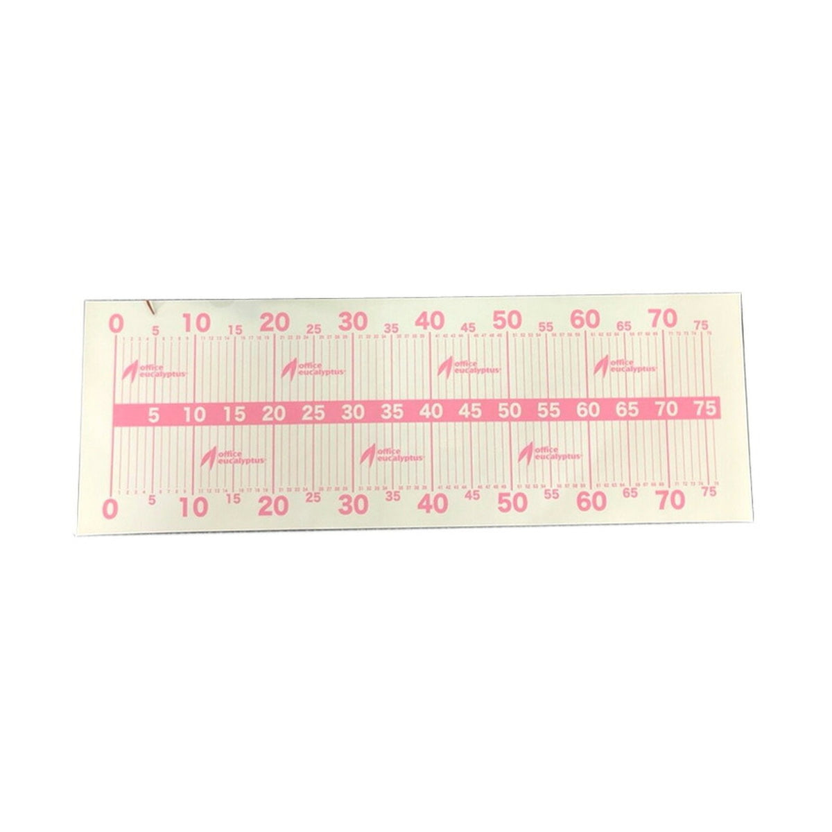 Office Eucalyptus Eucalyptus Measure Ivory/Pink
