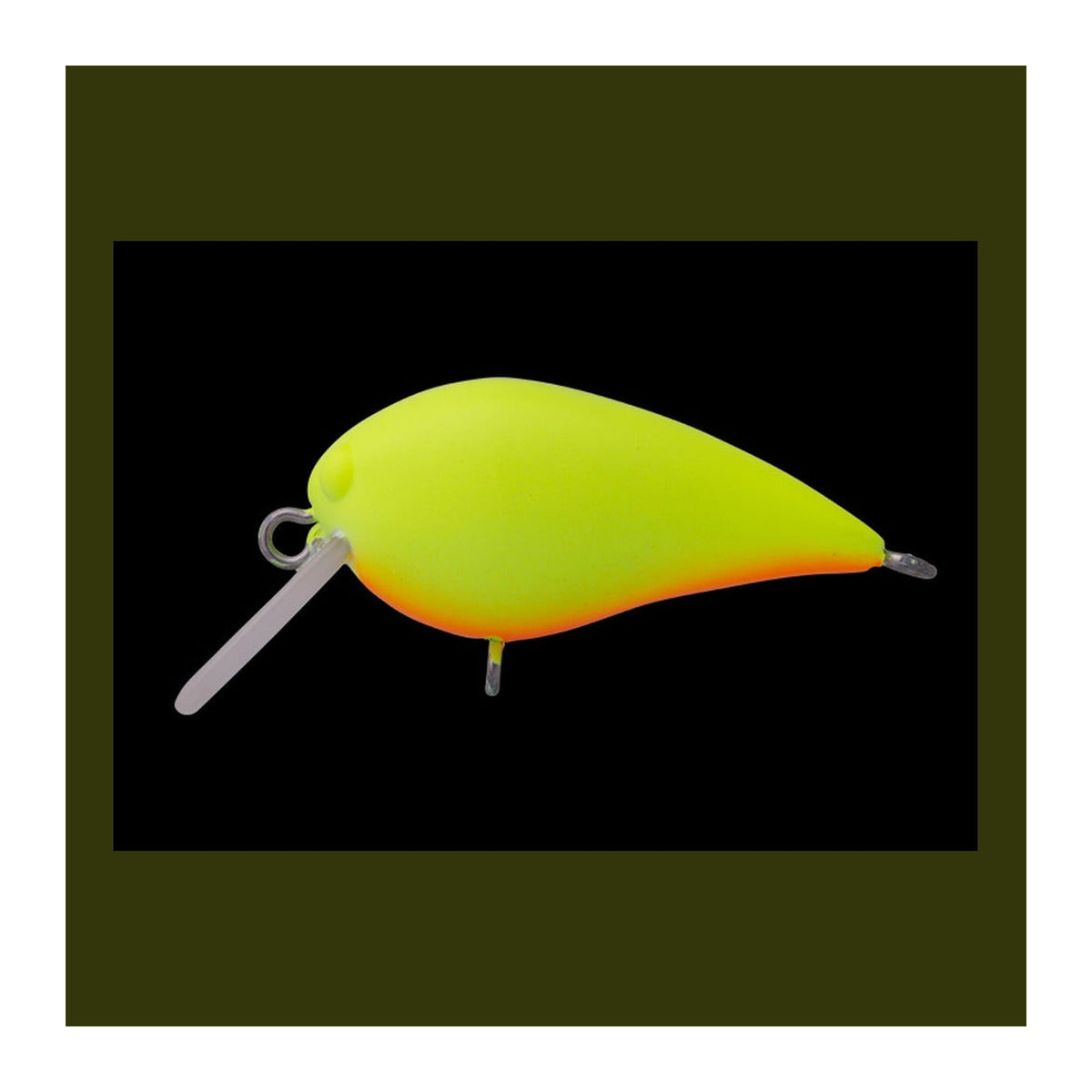 office-eucalyptus-mini-kura-ss