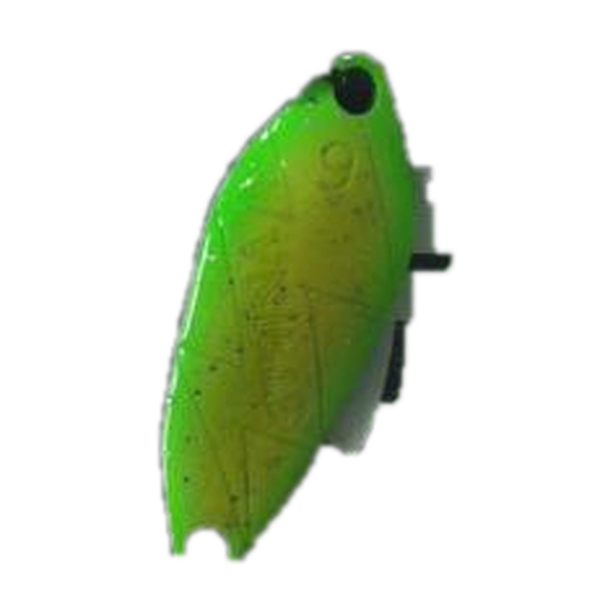 Office Eucalyptus Strina 1.9g #37 Lime Fizz