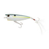 #289 Queen Shad