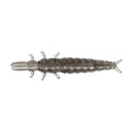Nikko Kasei Zazamushi Worm DAPPY Kurokawamushi (Large) 1.5in soft plastic bait, Natural
