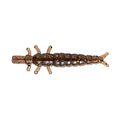 Nikko Kasei Zazamushi Worm DAPPY Kurokawamushi (Small) 0.9in soft plastic bait