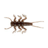 C05 Mudbug