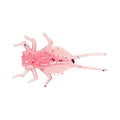 Nikko Kasei Zazamushi Worm DAPPY Pinchoro 0.4in soft plastic bait, Pepper Gum