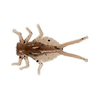 Nikko Kasei Zazamushi Worm DAPPY Pinchoro 0.4in soft plastic bait, Mud Bug