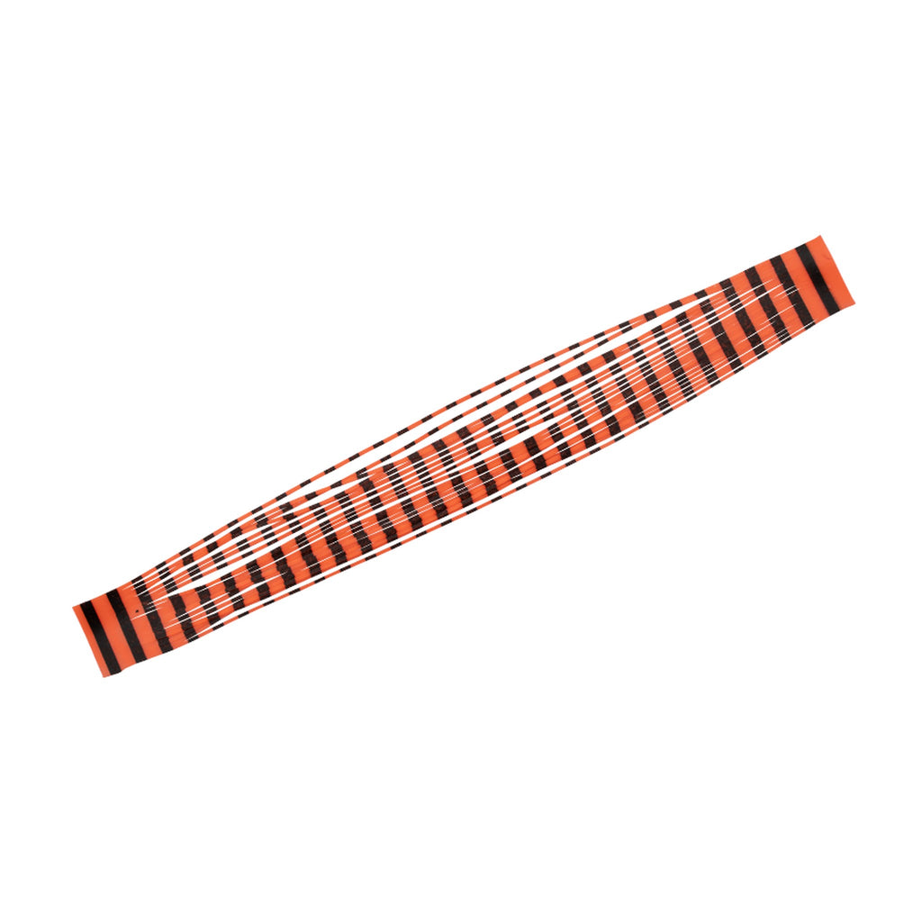 Bright Orange Zebra