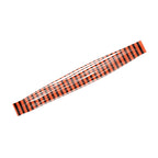 Bright Orange Zebra