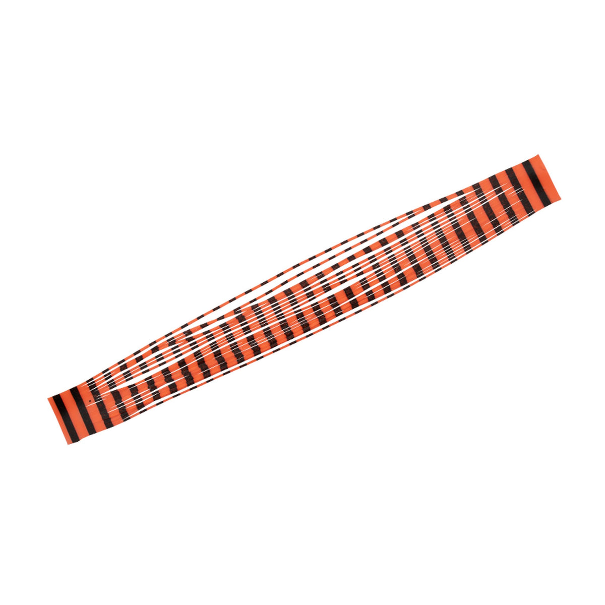 Bright Orange Zebra