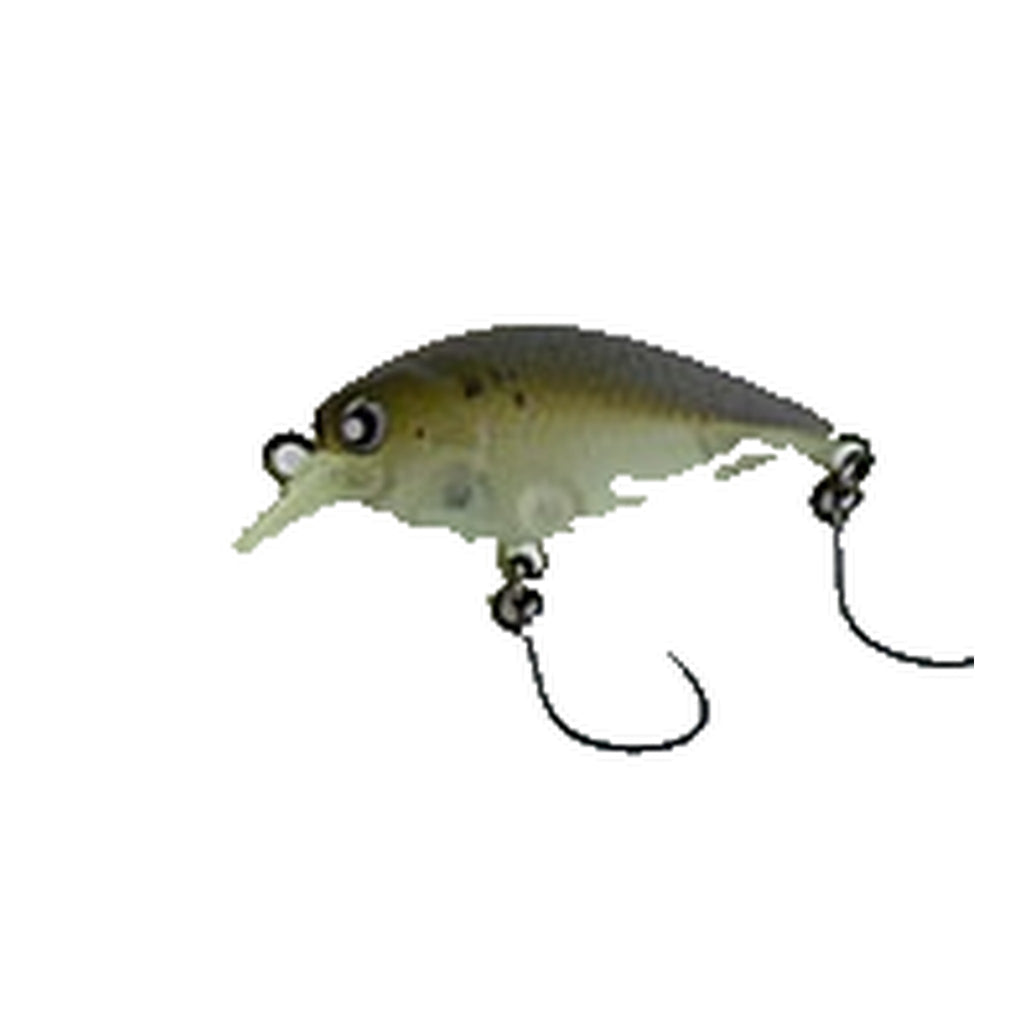 Rodio Craft RC Medium Cra-Pea - #1 S.M VI
