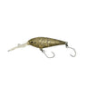 #1017 Pumpkinseed