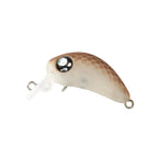 Rob Lure Chelsea F micro crankbait, スネーキーグロー colourway, isolated on white