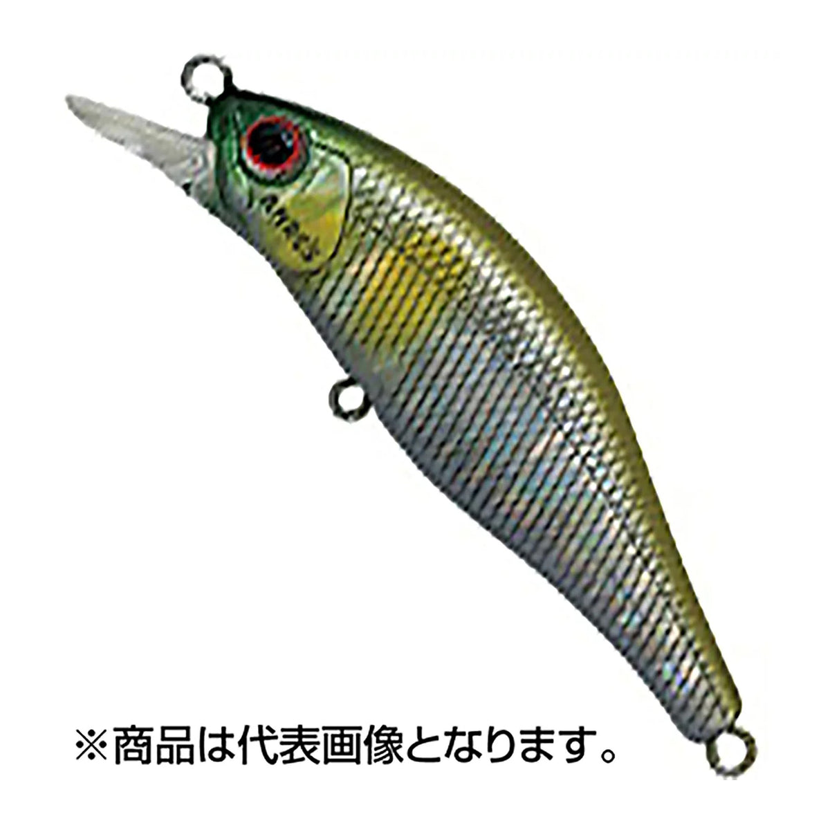 A-51 Abalone Ayu / Abalone Aquamarine