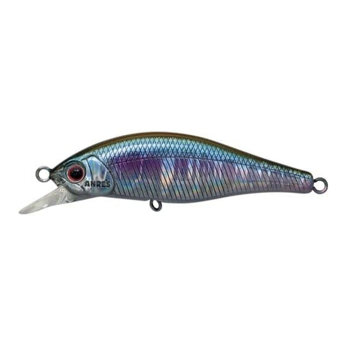 Palms Alexandra 43HW ABS Abalone Smelt