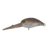 End Glow Pellet Brown