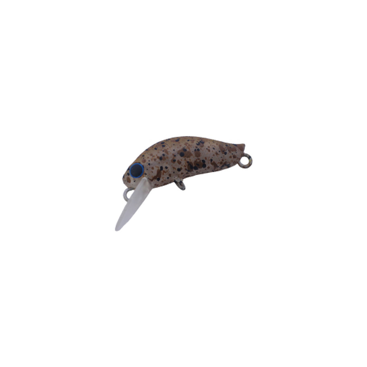 Daysprout Pico Eagleplayer F G2 in Cigedelic — official product photo