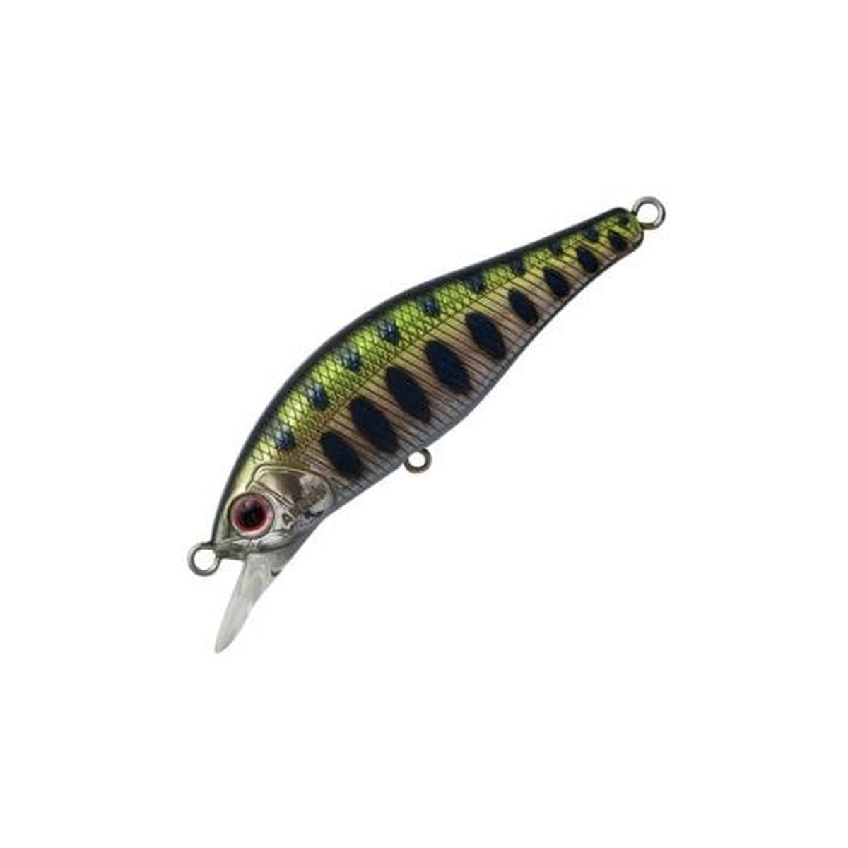 Palms Alexandra 50HW in Back Yamame (Ura Yamame) — official product photo