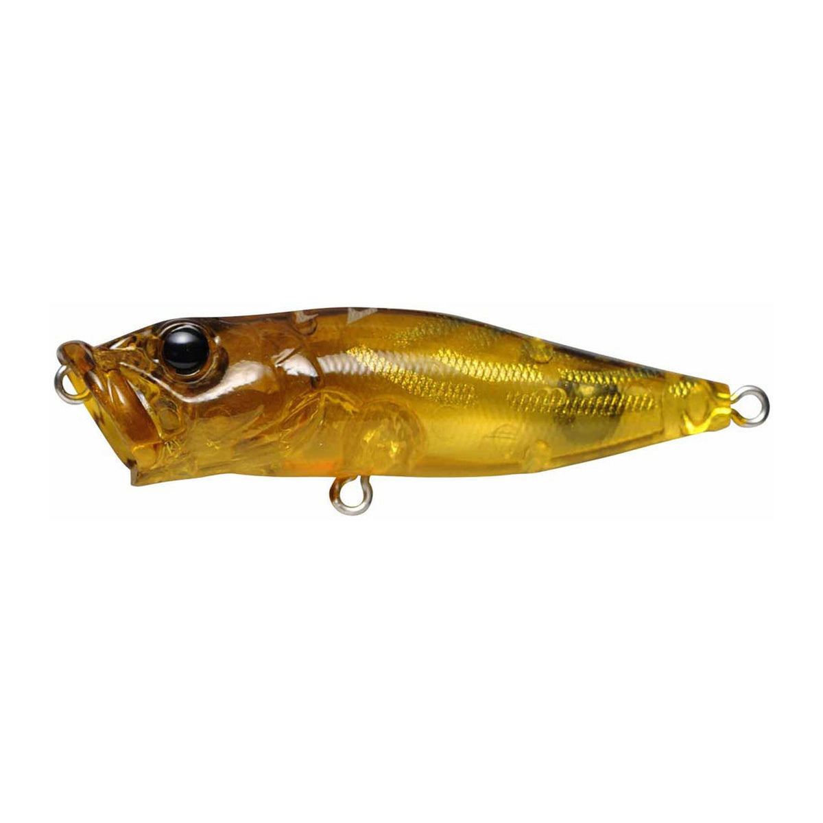Megabass Pop-X in Cicada II (Nojiri SP) — official product photo