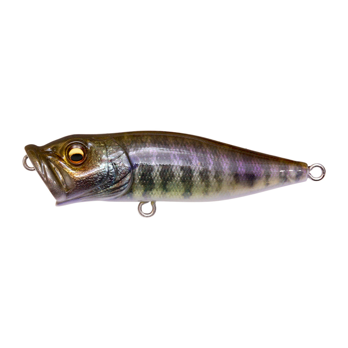 Megabass Pop-X in FA Baby Gill — official product photo
