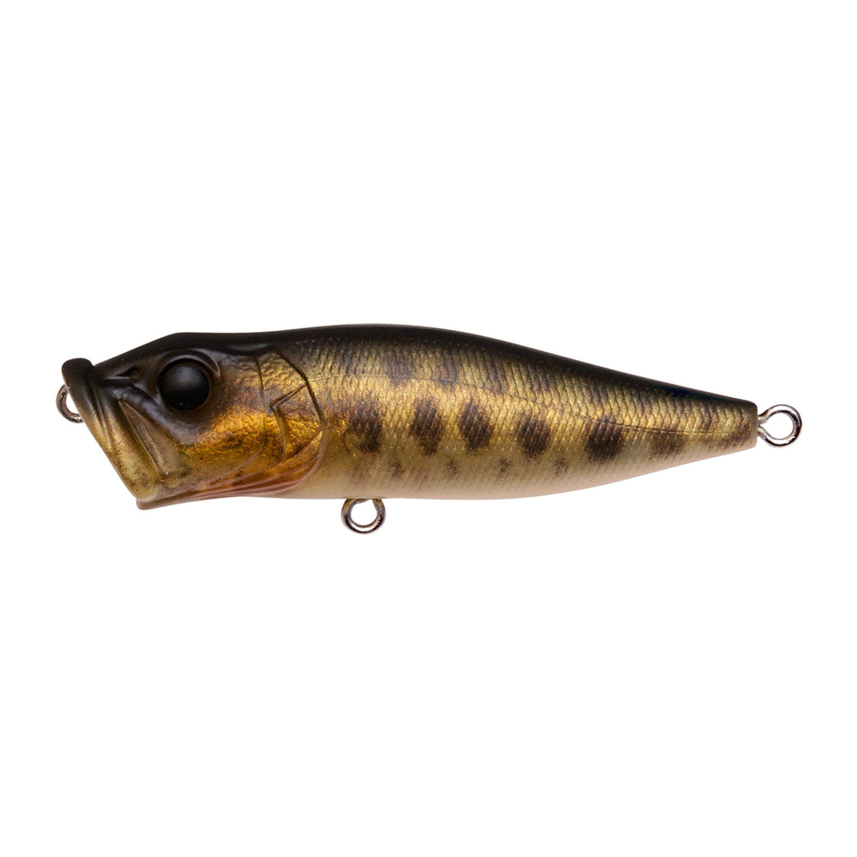 Megabass Pop-X in FA Baby Raigyo — official product photo