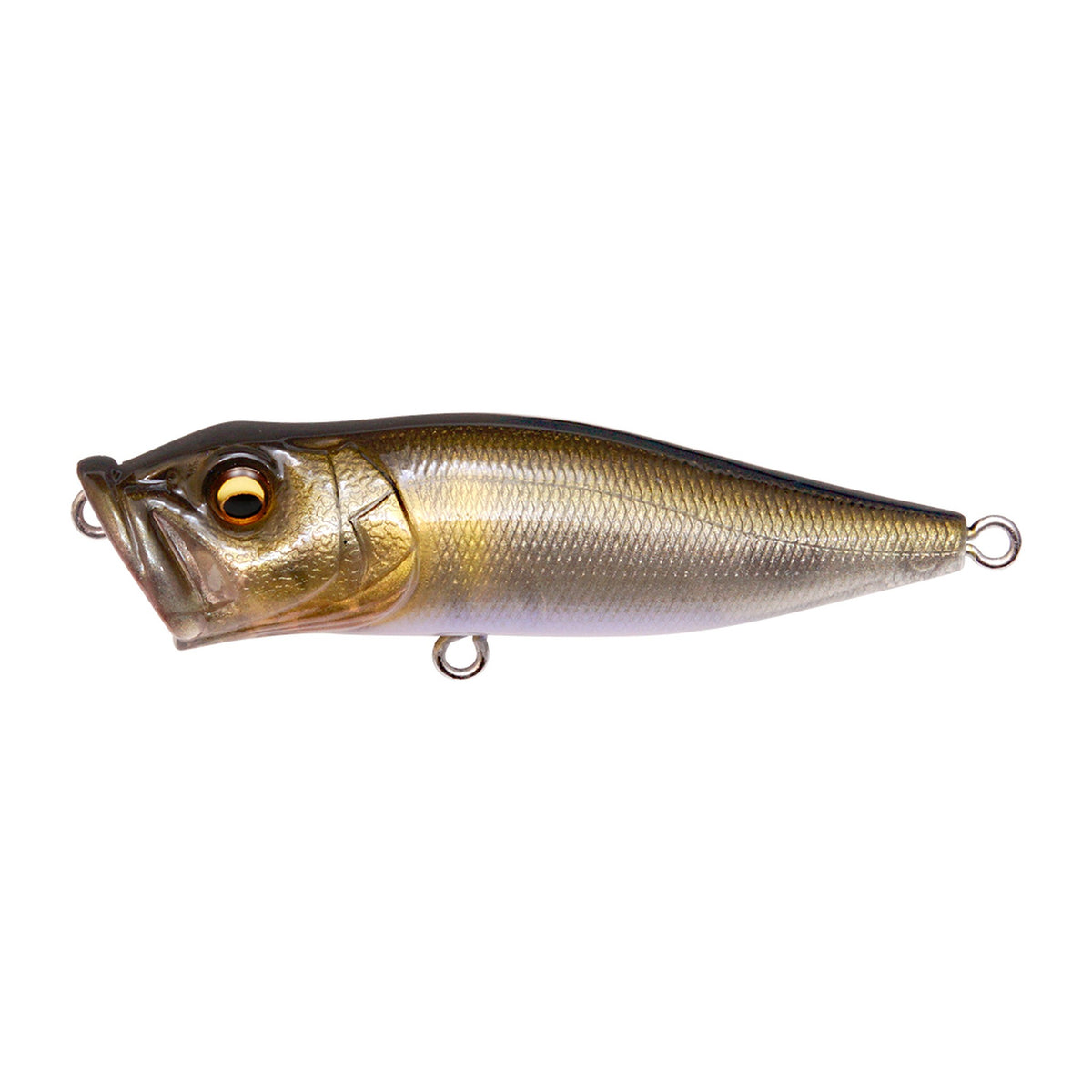 Megabass Pop-X in FA Se Ayu — official product photo