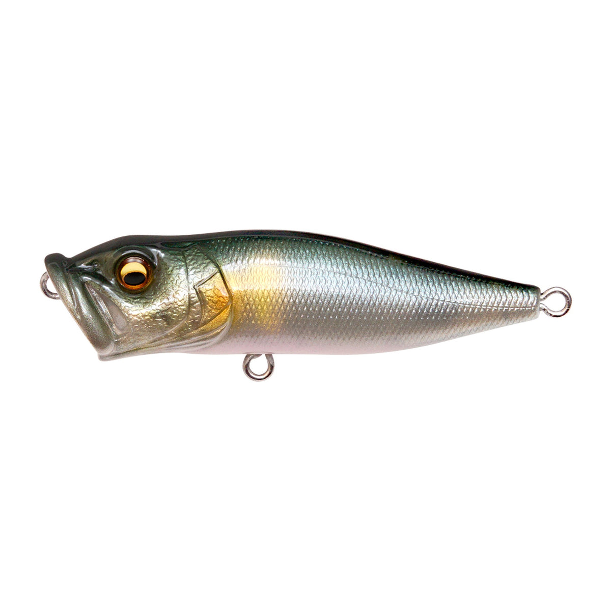 Megabass Pop-X in FA Waka Ayu — official product photo