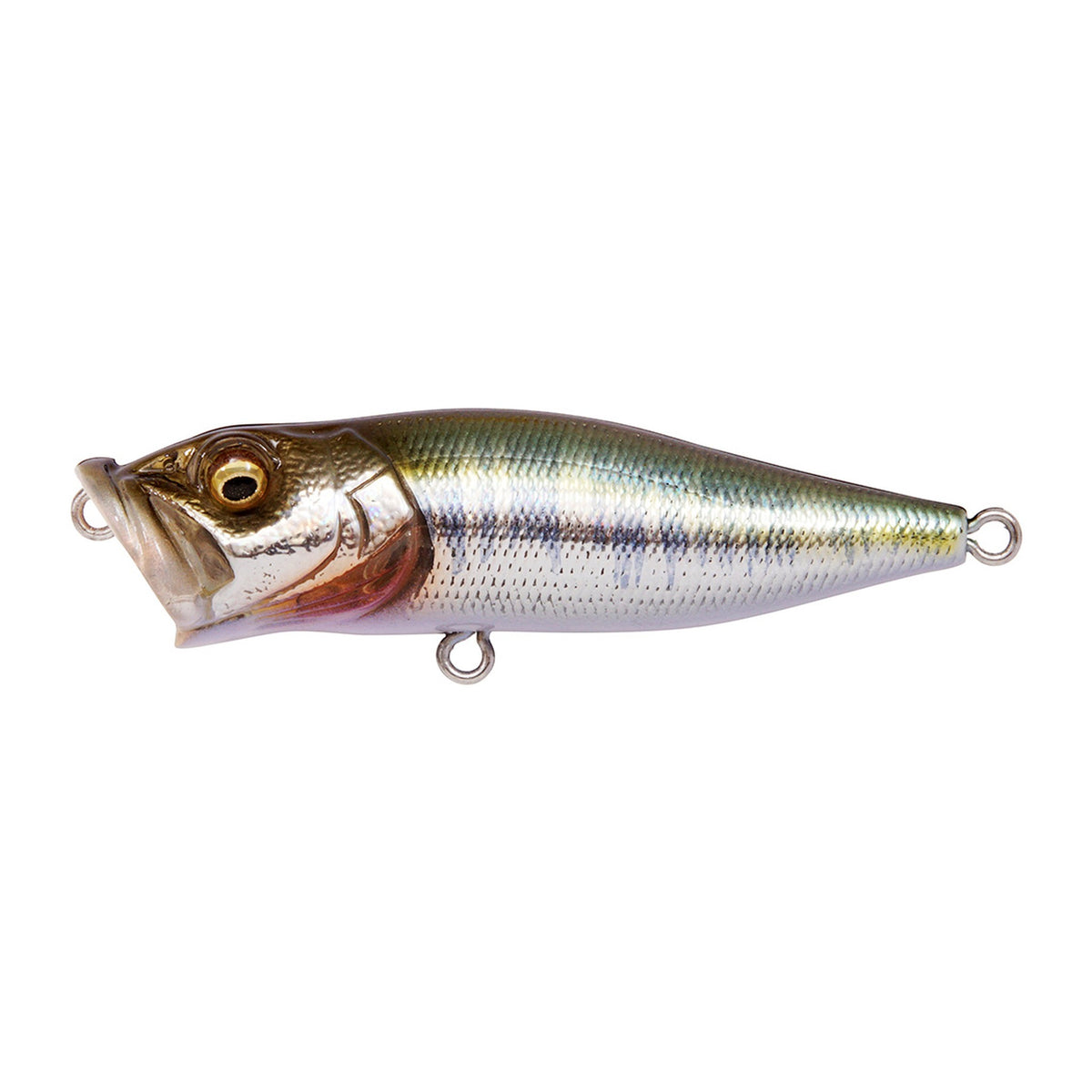 Megabass Pop-X in GG Hasu — official product photo