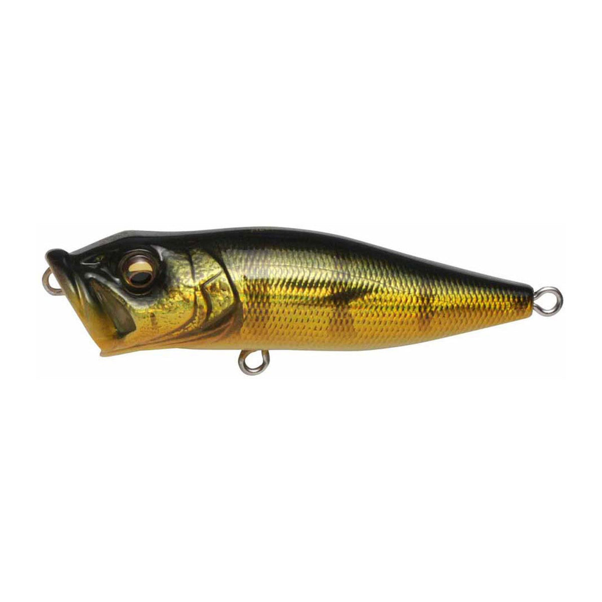 Megabass Pop-X in GG Peacock — official product photo