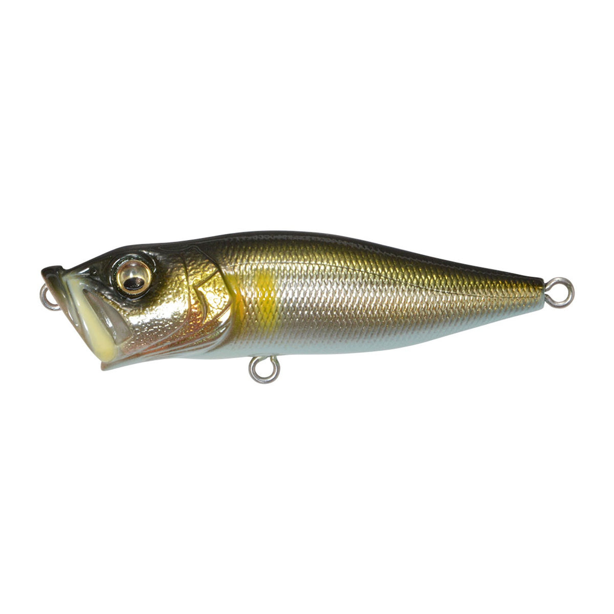 Megabass Pop-X in Takumi Seochi Ayu — official product photo
