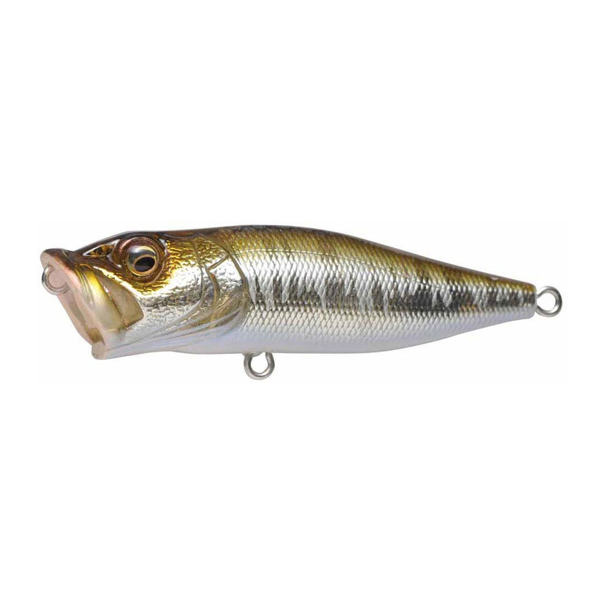 Megabass Pop-X in Wagin Hasu II — official product photo