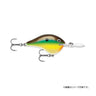 DT6-BRM Bream