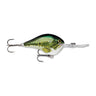 BB - Baby Bass