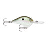 GGSD - Green Gizzard Shad