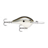 PGS - Pearl Grey Shiner