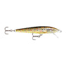 TR - Brown Trout