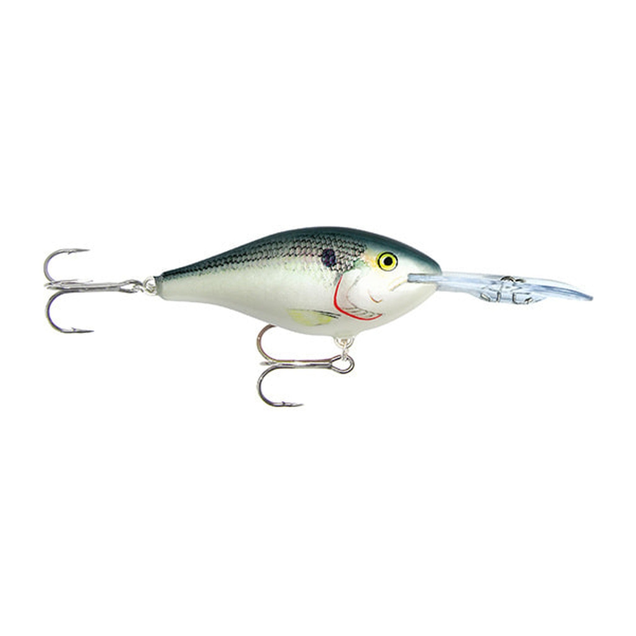 Rapala Risto Rap RR7 in SD - Shad — official Rapala product photo