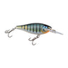 GDBG - Gilded Bluegill