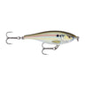RSL - Live River Shad