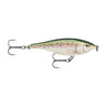 ST - Speckled Trout