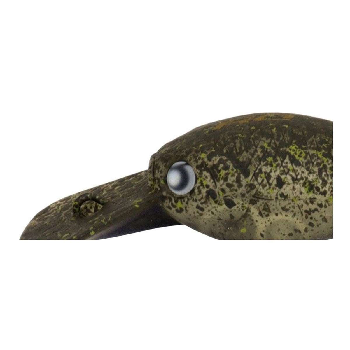 Rodio Craft RC Deep Cra-Pea #23 FOCUS Olive