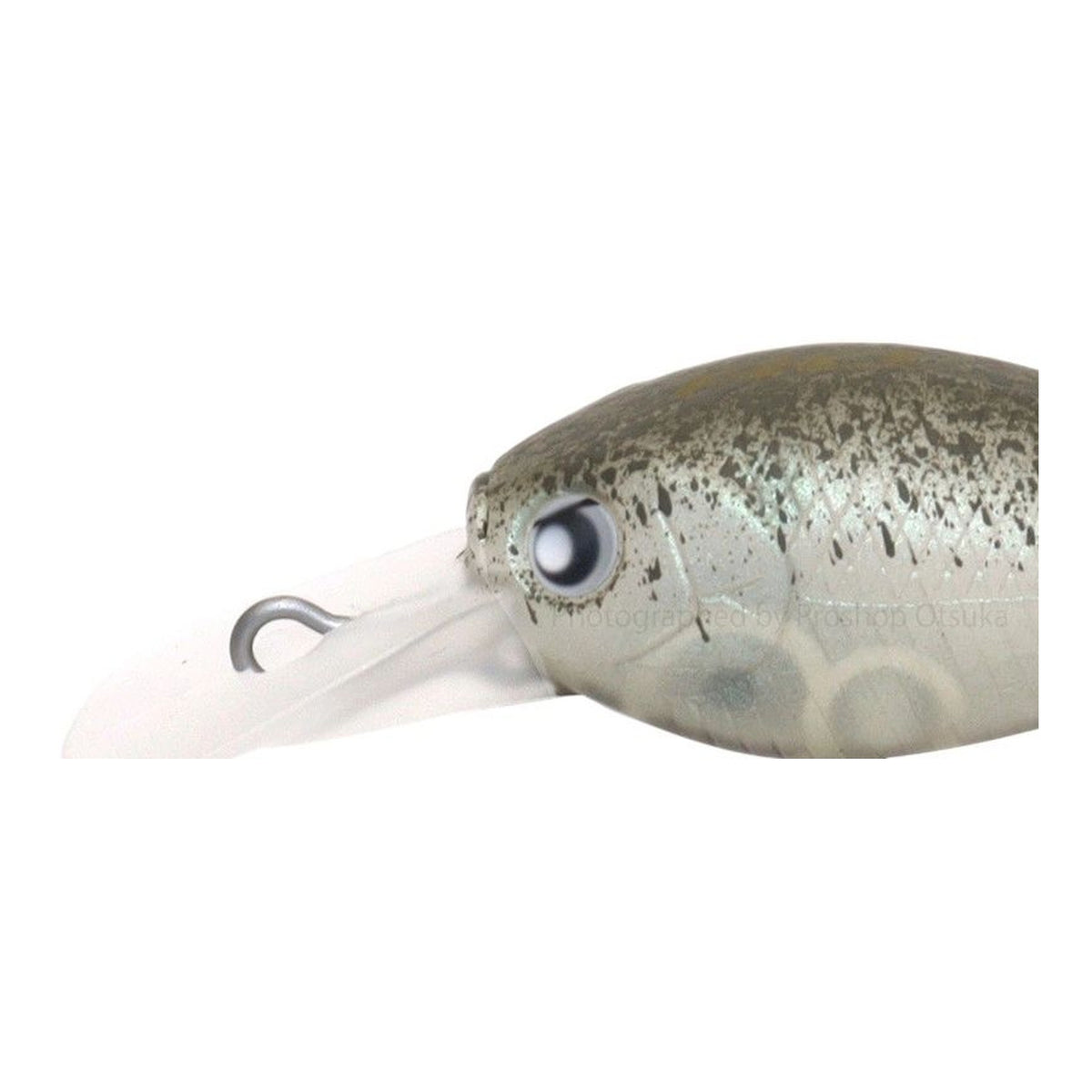 Rodio Craft RC Deep Cra-Pea #25 FOCUS Omame