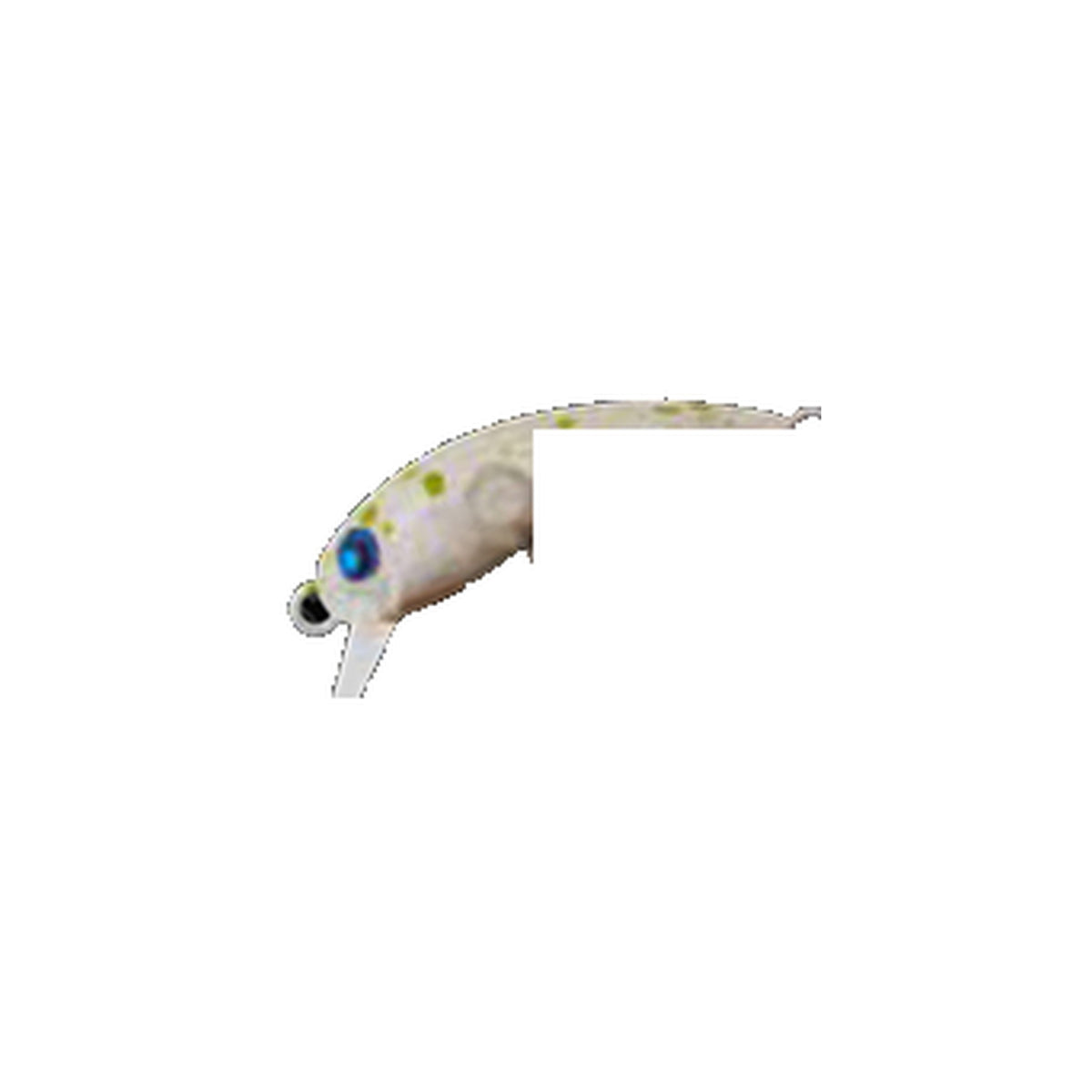 Rodio Craft RC Wow 33 (HF) in #21 20 Ino — recropped chart colourway, single lure only