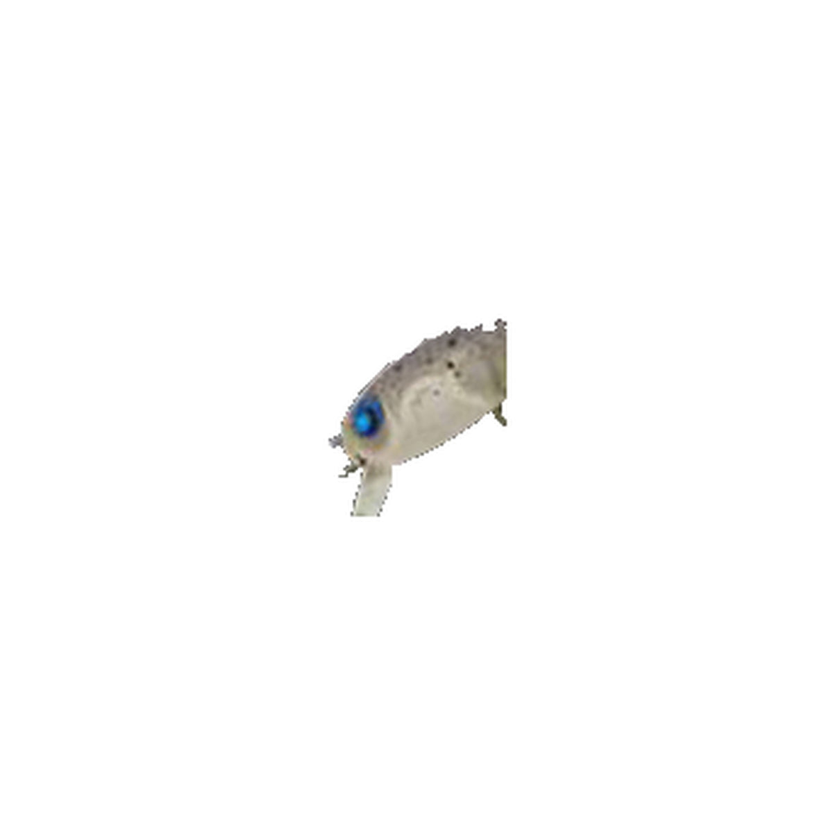 Rodio Craft RC Wow 33 (HF) in #1 S.M4 — recropped chart colourway, single lure only