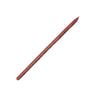 A33 Bristle Worm