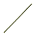 reins Swamp Skinny L 9 - Watermelon Seed