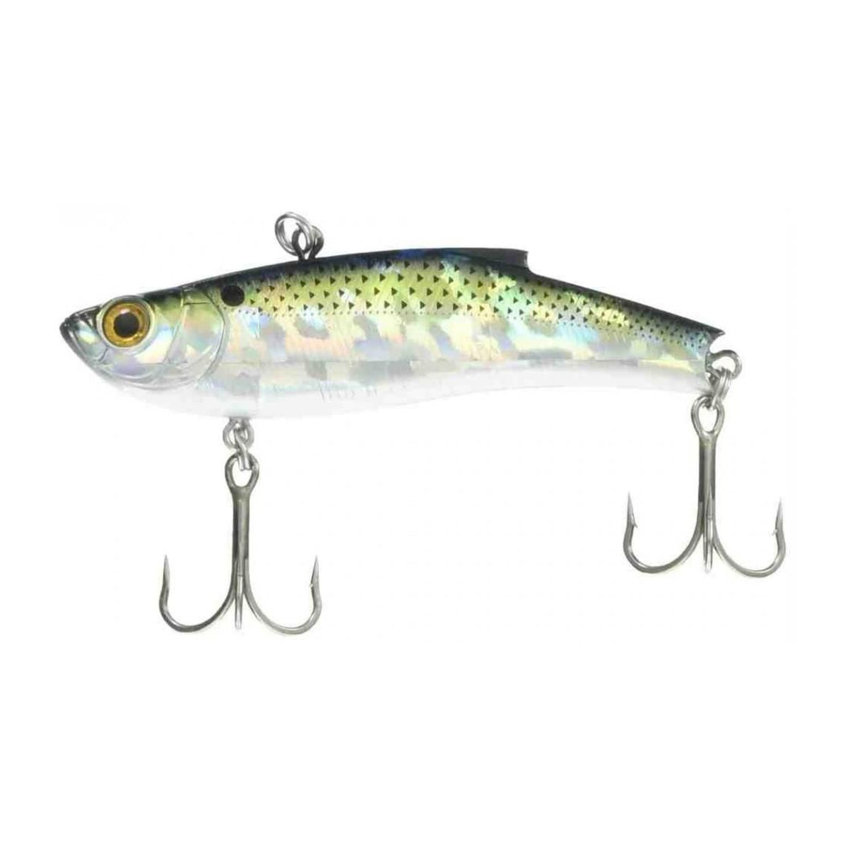 Bassday Range Vibe 70ES in CH-391 Brackish Mullet — official product photo