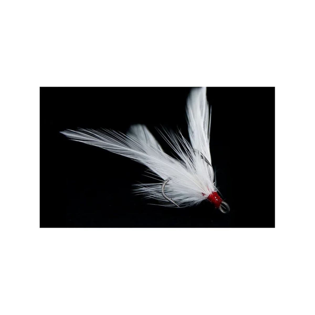 HFP046 Feathered Pierce Treble WH #2 / HFP046 Feathered Pierce Treble WH #3 / HFP046 Feathered Pierce Treble WH #8
