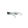 Shirasu Sardine